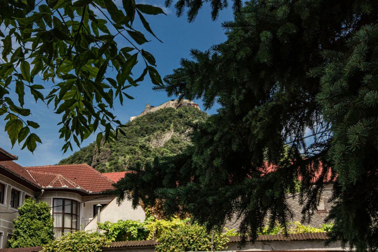 Pensiunea Vila Europa เดวา ภายนอก รูปภาพ